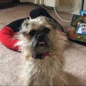 Meet your Posher, Robyn